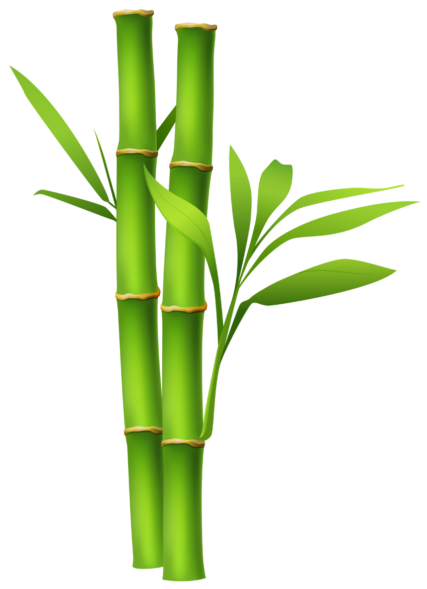 poudre de bambou