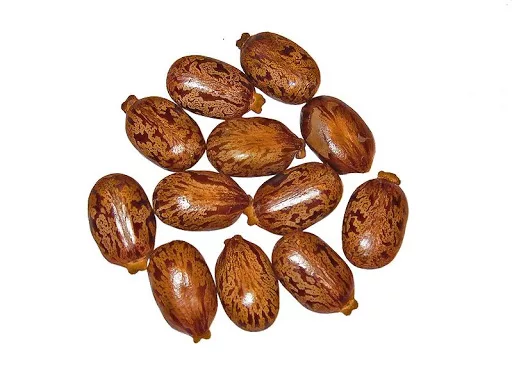 ricin.jpg